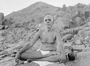 ramana maharshi sitting lotus